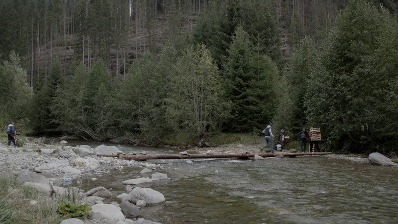 кадр из фильма Olanda