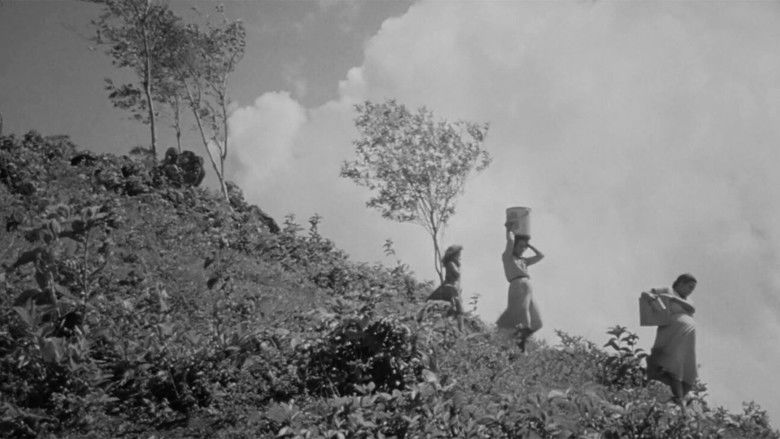 кадр из фильма Todo parecía posible