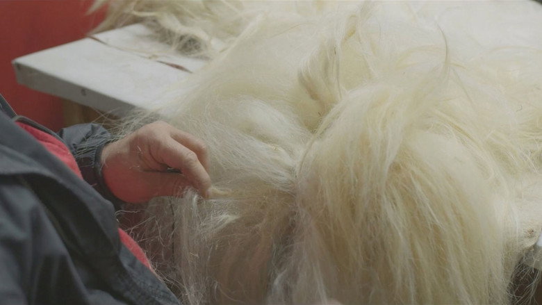 кадр из фильма Под кожите