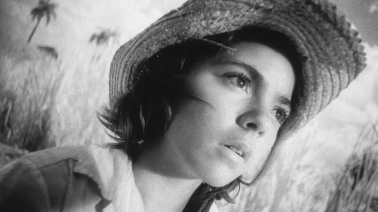 кадр из фильма Я – Куба