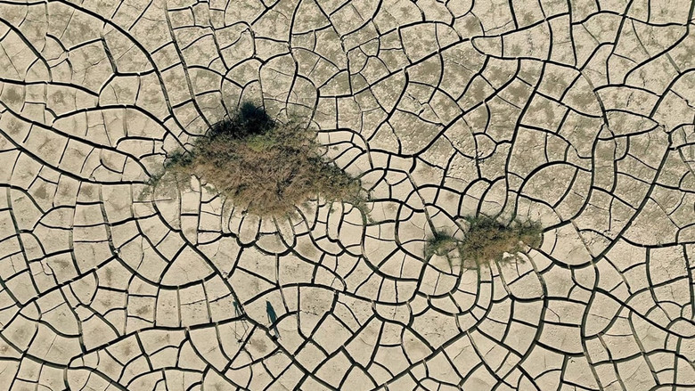 кадр из фильма Ada