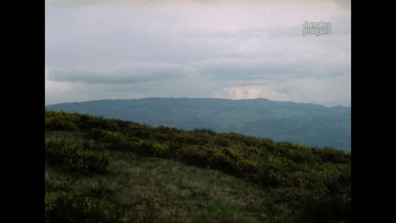 кадр из фильма Relação Fiel e Verdadeira