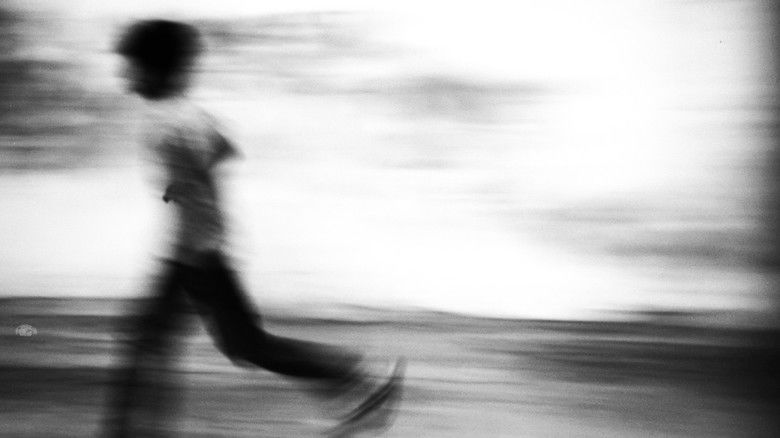 кадр из фильма Seagull dog child