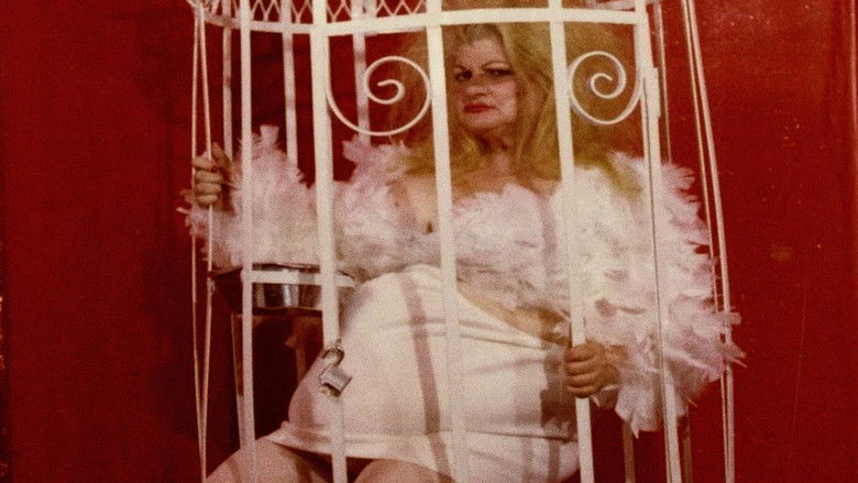 кадр из фильма Love Letter to Edie