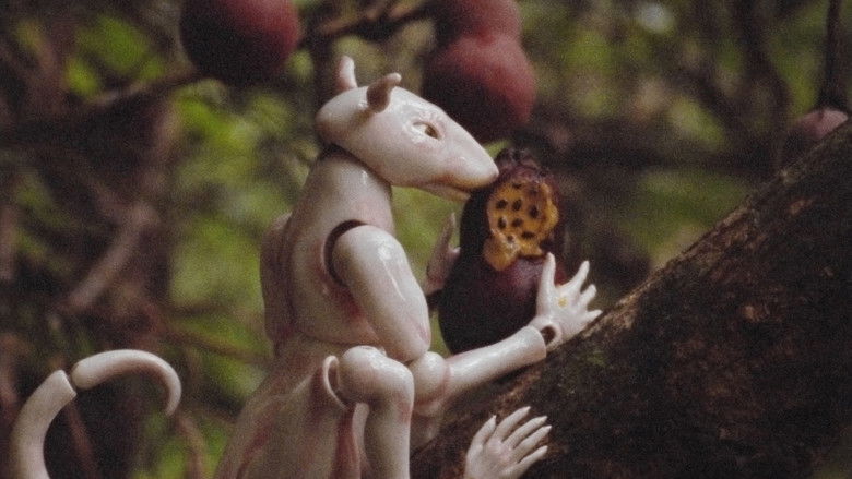 кадр из фильма Зима в тропическом лесу