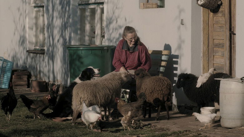 A Few Mornings, an Evening