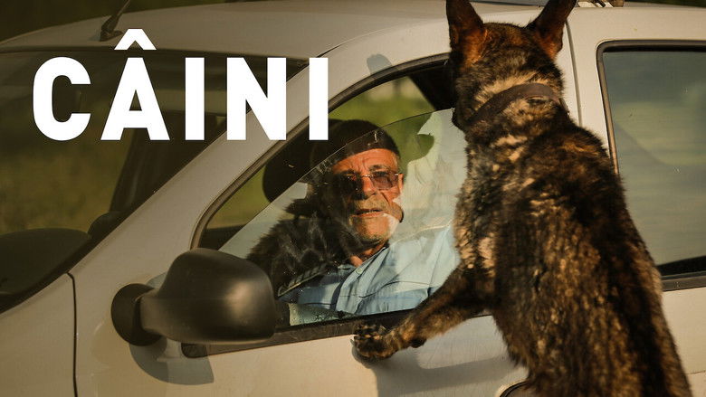 кадр из фильма Собаки