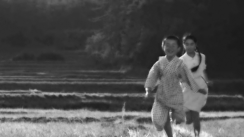 кадр из фильма Дерево без листьев