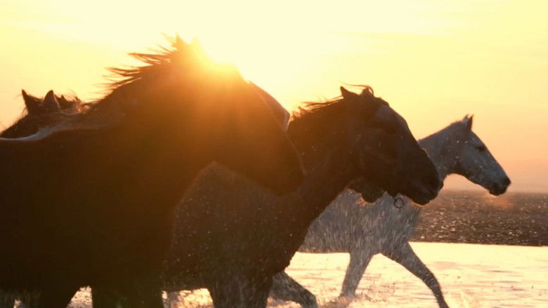 кадр из фильма A Place to Go