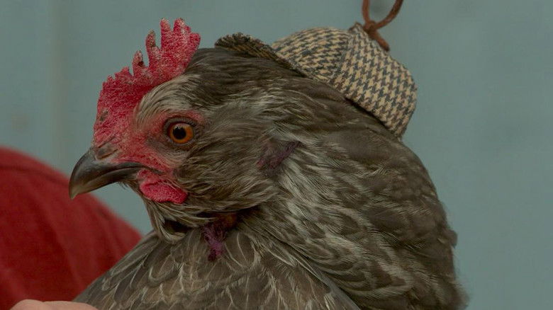 кадр из фильма Elvira