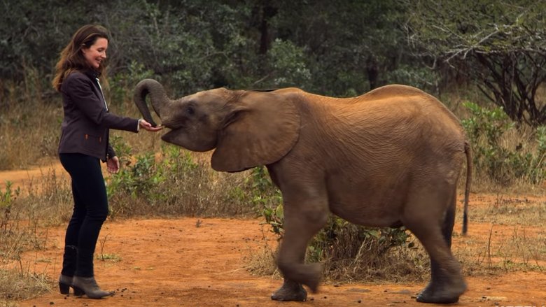 кадр из фильма Отпуск в дикой природе
