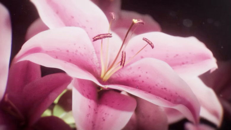 кадр из фильма HÉTÉROCÈRES