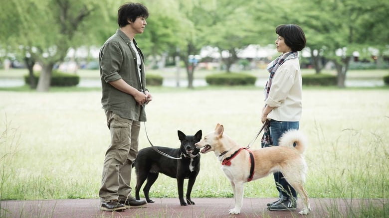 犬に名前をつける日