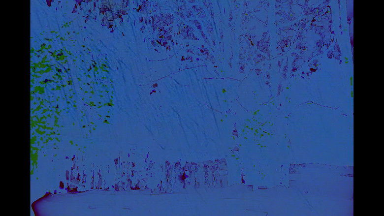 кадр из фильма Cottage Movie