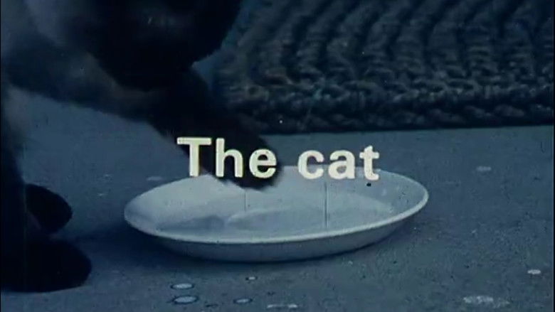 кадр из фильма To the Happy Few