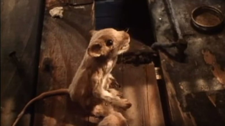 кадр из фильма The Mouse and the Motorcycle