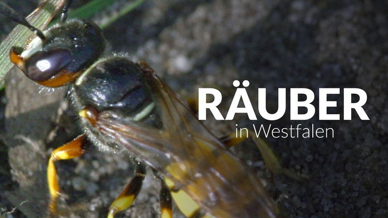 кадр из фильма Räuber in Westfalen - Neues Leben in Panzerspuren