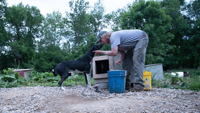 кадр из фильма Underdog