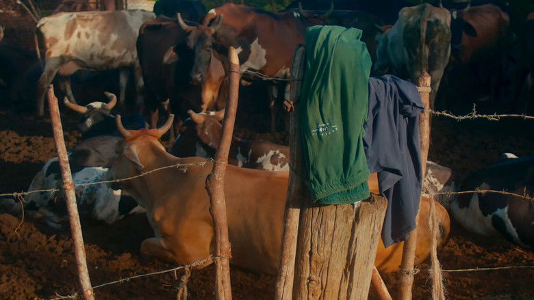 кадр из фильма Para verme cierro los ojos