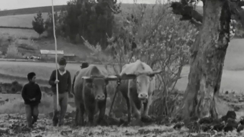 кадр из фильма El primer año