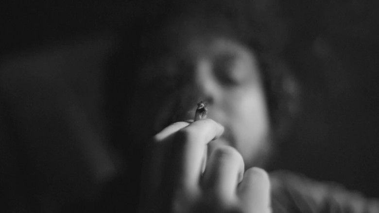 кадр из фильма Transversal 30ff