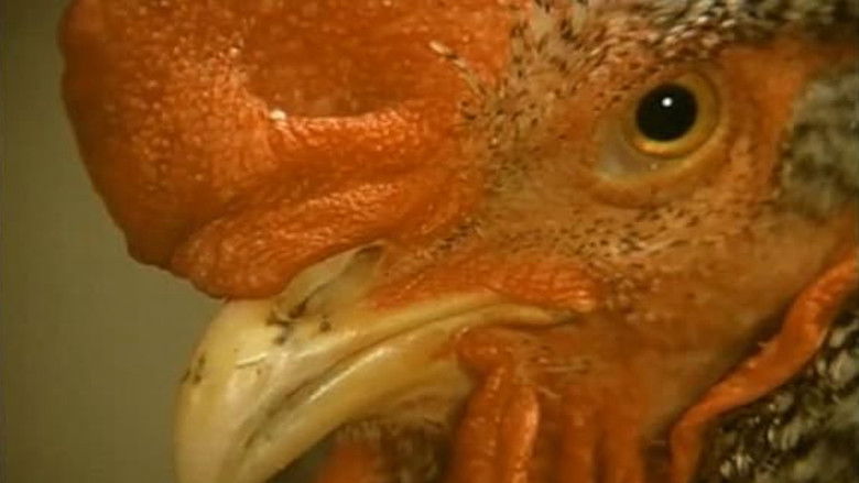 кадр из фильма Конспираторы наслаждений