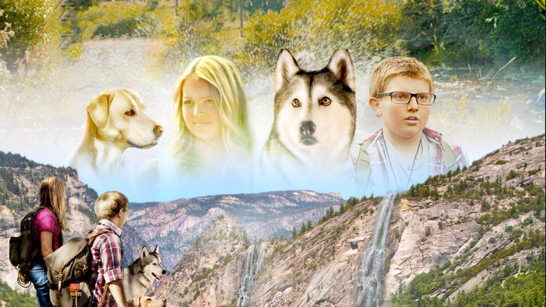 Тимбер - искатель сокровищ