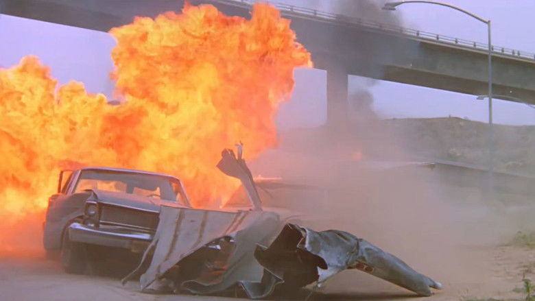 кадр из фильма Гонки «Пушечное ядро»