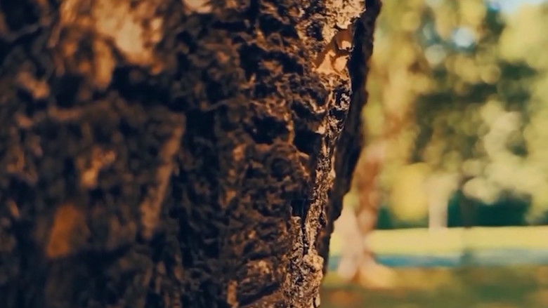 кадр из фильма Toprak