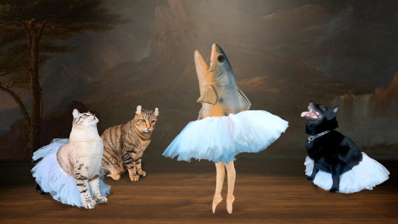кадр из фильма The Battle for Swan Lake