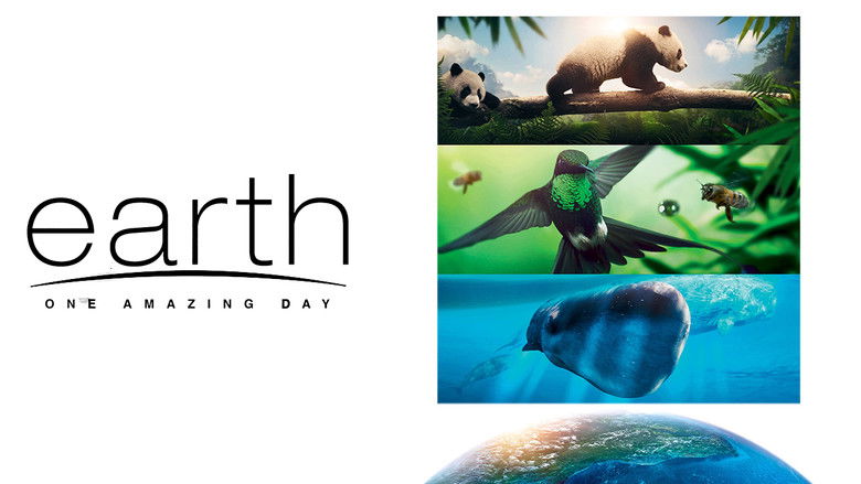 кадр из фильма Земля: Один потрясающий день