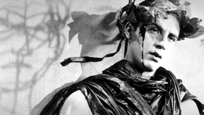 Кровь поэта