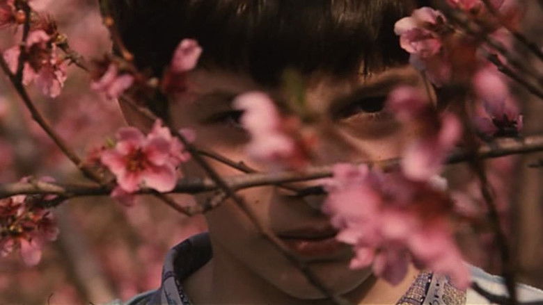 кадр из фильма Voci nel tempo