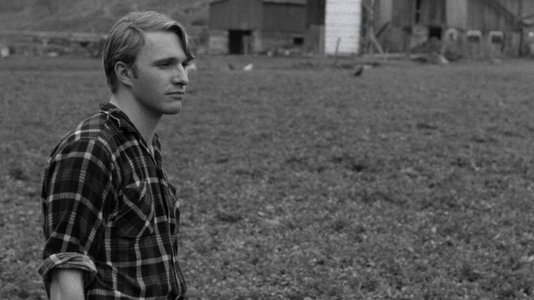 кадр из фильма Spring Night, Summer Night