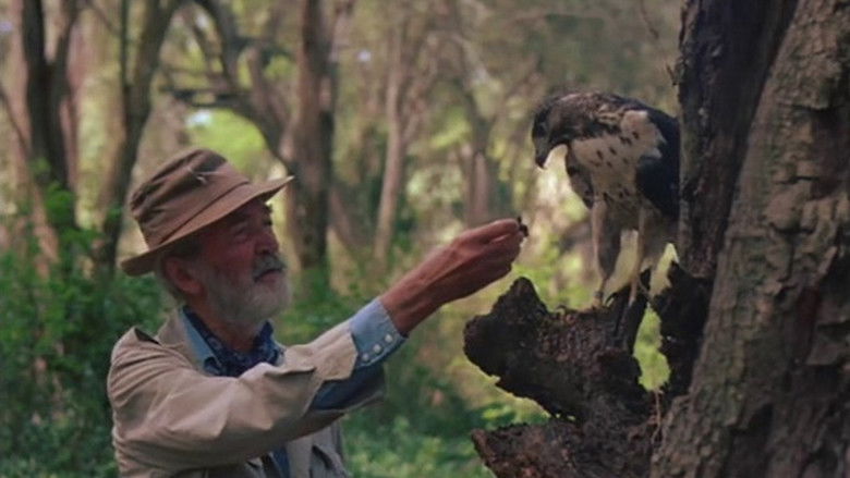 кадр из фильма アフリカ物語