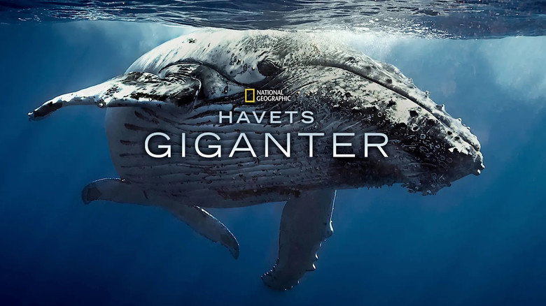 кадр из фильма Giants of the Deep Blue