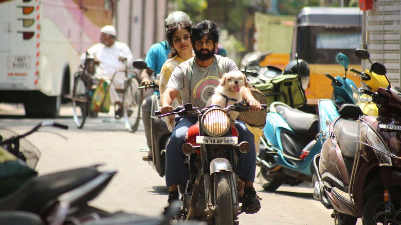 кадр из фильма Family படம்