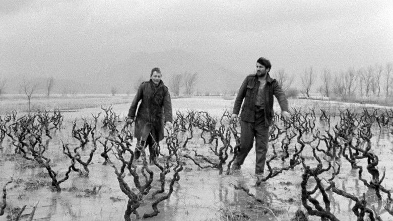 кадр из фильма Три