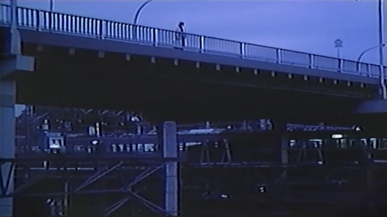 кадр из фильма ザ・異色ドキュメント　馬と女