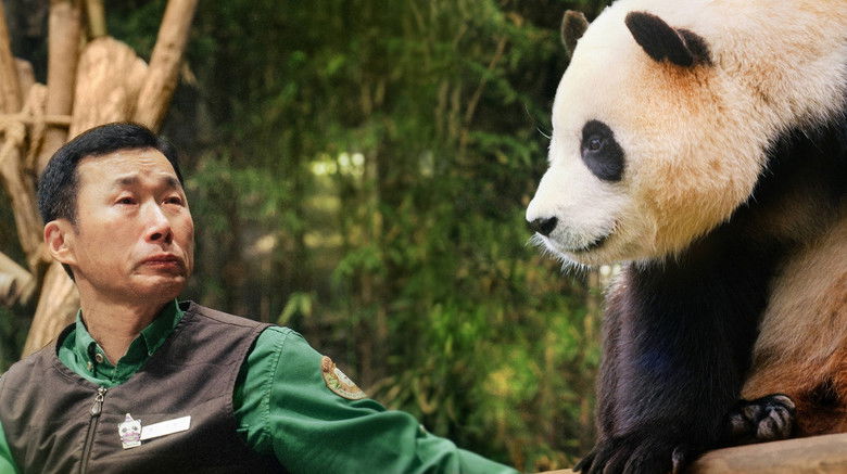 кадр из фильма Мой друг панда