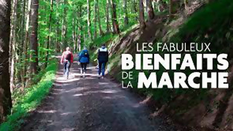 Les fabuleux bienfaits de la marche