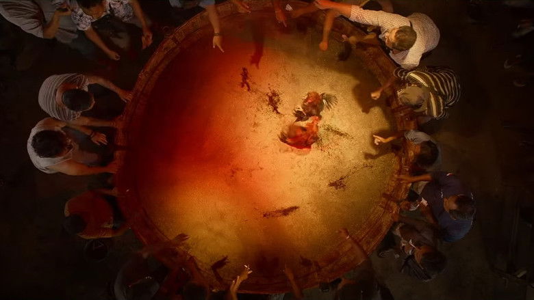 кадр из фильма Невеста дьявола