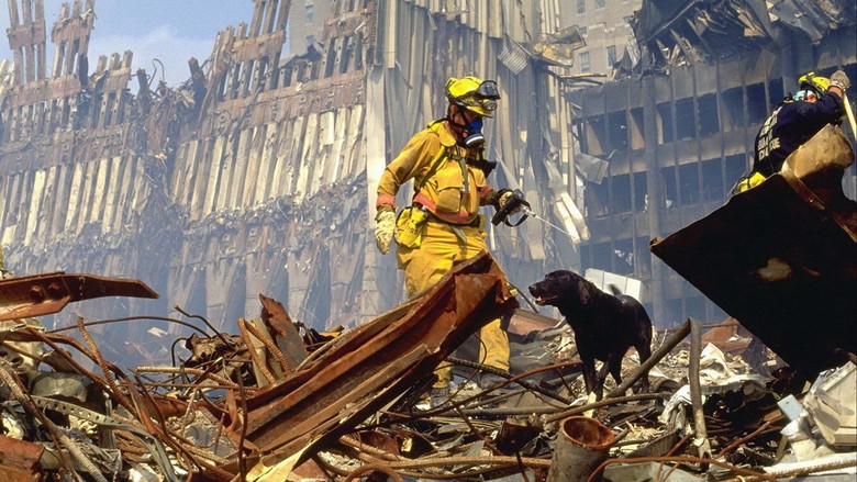 кадр из фильма 11 сентября