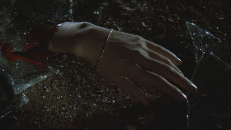 кадр из фильма ヘアピン・サーカス