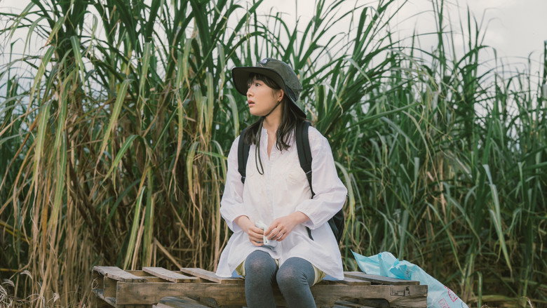 кадр из фильма 風のマジム