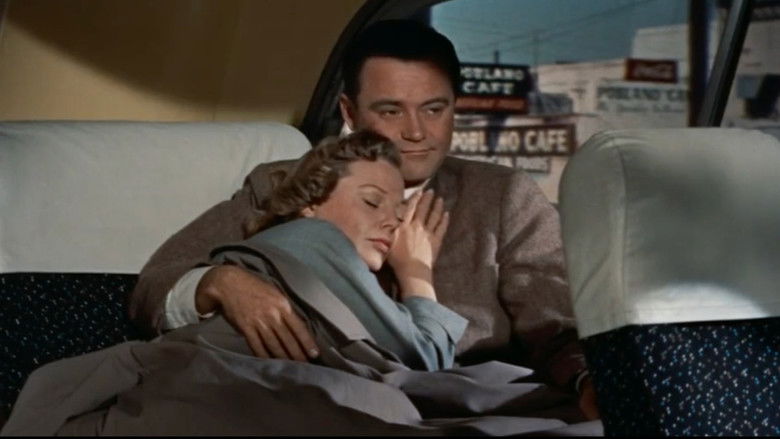 кадр из фильма You Can't Run Away from It