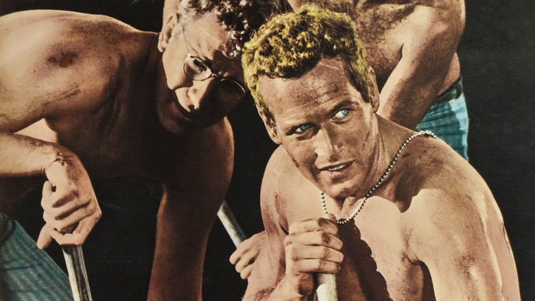 кадр из фильма Хладнокровный Люк