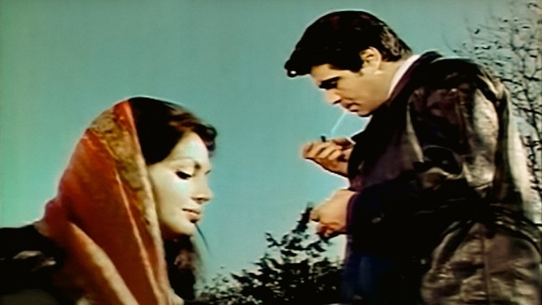 кадр из фильма Kölen Olayım