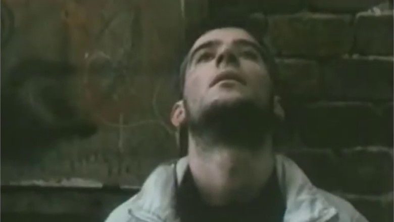 кадр из фильма Paranoja