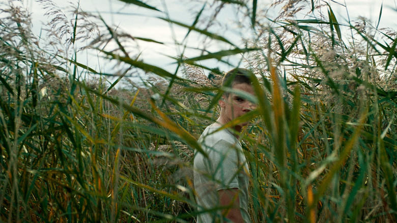 кадр из фильма Korparna